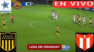 PEÑAROL VS RIVER MONTEVIDEO EN VIVO POR GRANEGA ⚽ URUGUAY APERTURA  JORNADA 10 [upl. by Duester825]