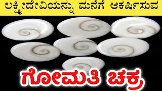 ಗೋಮತಿ ಚಕ್ರ ಎಂದರೇನು ಹೇಗೆ ಕೆಲಸ ಮಾಡುತ್ತದೆ Gomati Chakra [upl. by Shannan]