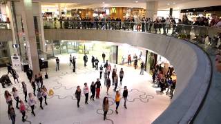 Irish Flash Mob Vienna 2014  Wien Mitte The Mall [upl. by Bouchard7]