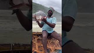 Catla Fish Catching At Resirver Telagana 2024 ytshort youtubeshorts [upl. by Danni]