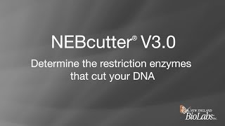 NEBcutter® V30  Determine the restriction enzymes that cut your DNA [upl. by Ledeen]