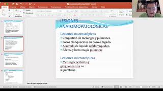 VET112quotBquotPSEUDORRABIA ENCEFALOMIELITIS🐎🐴ADENITIS EQUINA DR JAIME GUZMAN ENFER INFECCIEN ANIMALES [upl. by Ahsaz]