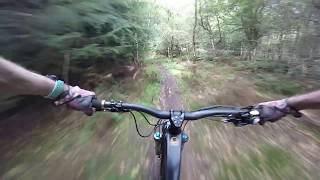 Dalby Forest Offpiste mtb trails [upl. by Lairbag]