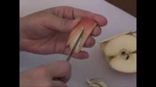 How to Cut Rabbit Shaped Apple [upl. by Mapes608]