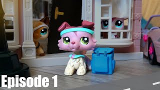 The evolution of LPS  A history of littlest pet shop  Part one  Vintage LPS Kenner [upl. by Padraic754]