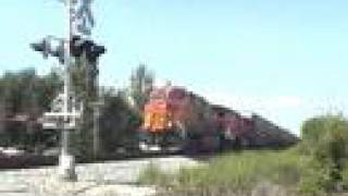 BNSF UP NS and Amtrak in Norborne [upl. by Cadman270]