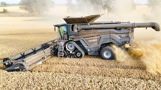 FENDT IDEAT 10T bei der WeizenernteWheat harvest 2024 [upl. by Lucine923]