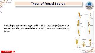 Fungal Asexual spores  Types of fungal spores part1 mycology spore microbiology [upl. by Nitnelav]