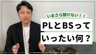 今更聞けない！PLとBSっていったい何！？ [upl. by Tacy]