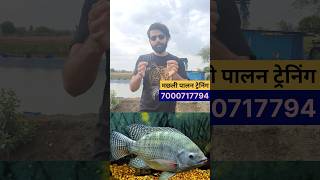 Fish Farming Business in India fishfarmingbusiness agriculture agribusiness [upl. by Michell]