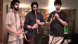 16th Century music on crumhorns  Susato  Crumhorn Trio  Die vier Branlen [upl. by Asilat183]