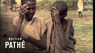 Ethiopian Famine 19701979 [upl. by Naesed]