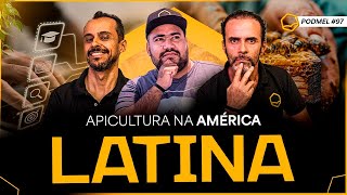 Como é a apicultura em outros países latinos [upl. by Acimehs]