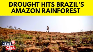 Brazil Drought 2023  Amazon Region Hit By A Severe Drought In Brazil  English News  News18  N18V [upl. by Shulins]