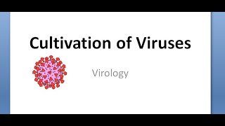 Microbiology 446 a Cultivation of Virus Isolation Culture Egg Chick Inoculation Embryonated ExPlant [upl. by Aneras]