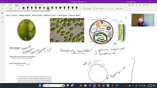 Methods in Synthetic Biology 2024 014 Transgenic Algae [upl. by Haleehs760]