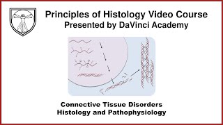 Connective Tissue Disorders Histology and Pathophysiology Connective Tissue Histology Part 3 of 3 [upl. by Netsew]