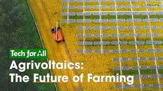 An Introduction to Agrivoltaics The Future of Farming [upl. by Scherle]