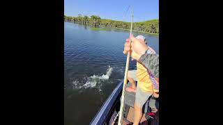 Double up fun on Caddo Lake caddolake fishing [upl. by Nile]