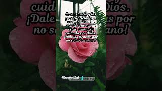 Dale gracias a DiosFrases InspiradorasFrases positivas [upl. by Kcirb]