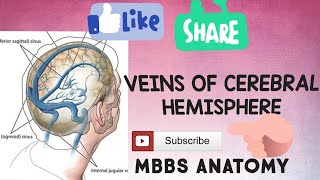 Internal Cerebral VeinPART 2 Deep Veins Of Cerebrum MBBS ANATOMY [upl. by Emelia344]