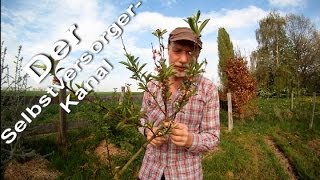 Selbstversorgergarten im April Die Weichen sind gestellt [upl. by Tamqrah]