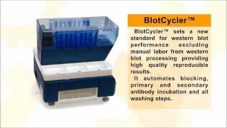 BlotCyclerautomated western blot processor [upl. by Silecara]