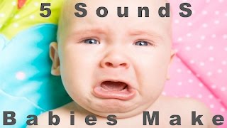 5 Sounds Babies Make  Newborn Cries  HQ [upl. by Llehsar]