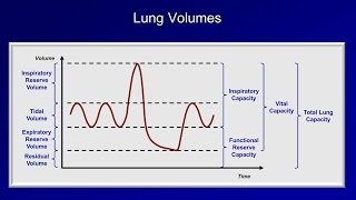 Pulmonary Function Tests PFT Lesson 1  An Introduction [upl. by Eelyrag]