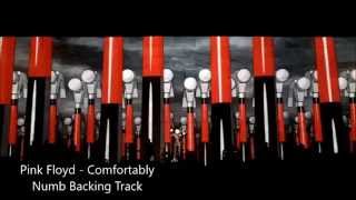 Pink Floyd  Comfortably Numb Backing Track [upl. by Berget]