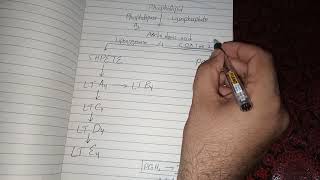 Arachidonic Acid Metabolism and Function [upl. by Yttap119]