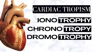 Cardiac tropism  Chronotropy vs Ionotropy vs dromotropy [upl. by Basilius374]