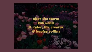 After The Storm  Kali Uchis ft Tyler The Creator amp Bootsy Collins lyrics [upl. by Boor591]