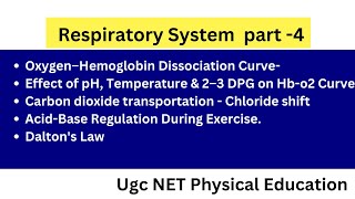 Respiratory System L4 Transportation of Oxygen O2–Hb Dissociation CurveUGC NET Physical Education [upl. by Etterrag24]