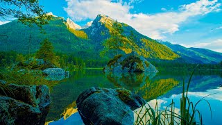 Beautiful Lake in Nature No Sound  4K UHD [upl. by Dorri342]