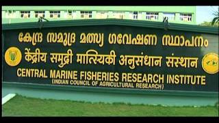 Central Marine Fisheries Research Institute  The Saga continues [upl. by Whitver344]