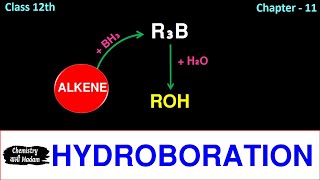 Hydroboration Oxidation B2H6  Mechanism B2H6 [upl. by Annaeg]