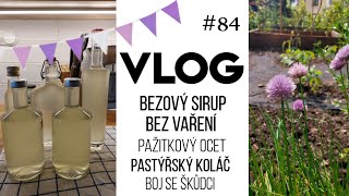 VLOG 84  bezový sirup pažitkový ocet pastýřský koláč 🥧 [upl. by Diarmid]