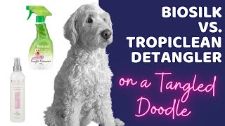 Biosilk vs Tropiclean Dog Detangler Spray on a Tangled Doodle [upl. by Llednahc]