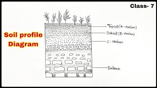 Soil Profile Diagram easily step by step for beginners Class 7th [upl. by Og]