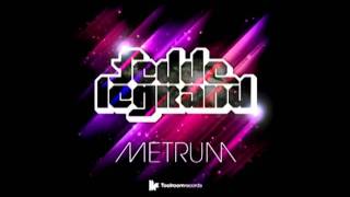 Fedde Le Grand  Metrum Manuel de la Mare Remix [upl. by Saum430]