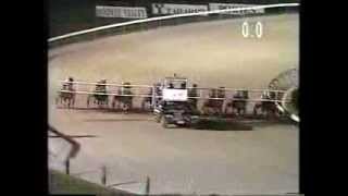 Moonee Valley trots 1996 [upl. by Augustus]