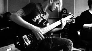 The Hirsch Effekt Album 3  bass recording  Bezoar [upl. by Eenram577]