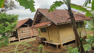 Merinding ‼️ Semua Bangunan Di Kampung Ini Miring Dulu Kampung Besar Sekarang Jadi Hutan [upl. by Wenoa61]