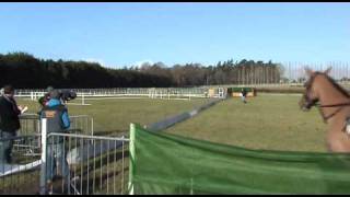 Coursing Clonmel 2011 [upl. by Acinorav]