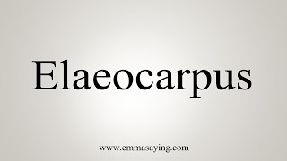 How To Say Elaeocarpus [upl. by Oderf450]