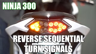 Motodynamic Ninja 300 Integrated LED Tail Light Reverse Sequential Turn Signal Demo [upl. by Atronna]