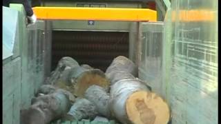 GLOBUS  MTG Drum Chipper for wood logs [upl. by Nuawad]