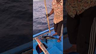 മീനിനെ ബോധം കെടുത്തിയത് കാണണോ shortsfeed malayalamfishing fishing malayalamfishingvideo fish [upl. by Lantha]