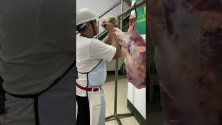 Deboning Beef hindquarter [upl. by Uah]